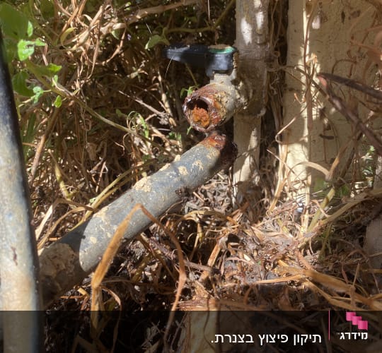 צינור חלוד עם ברז בגינה